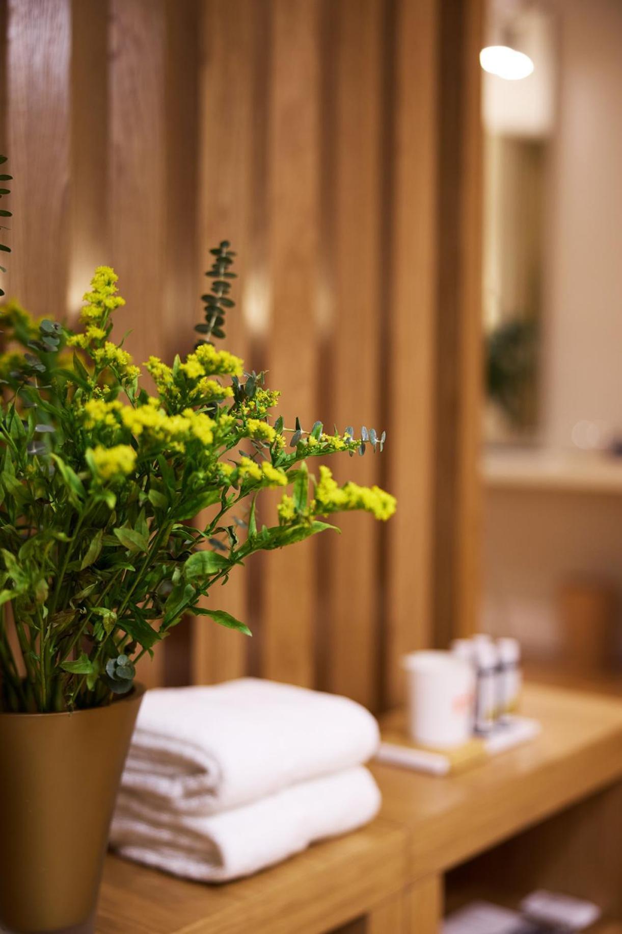 Vrachos Athens Suites المظهر الخارجي الصورة
